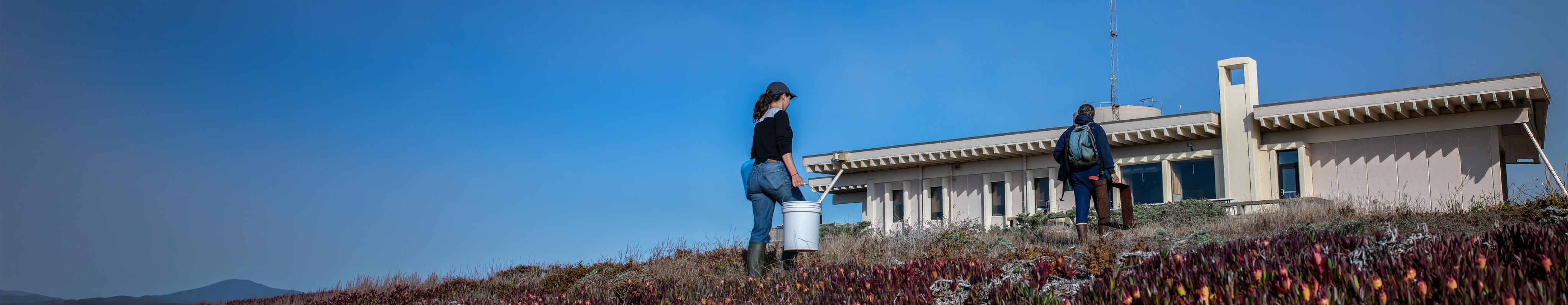 Researchers working outside a coastal field station